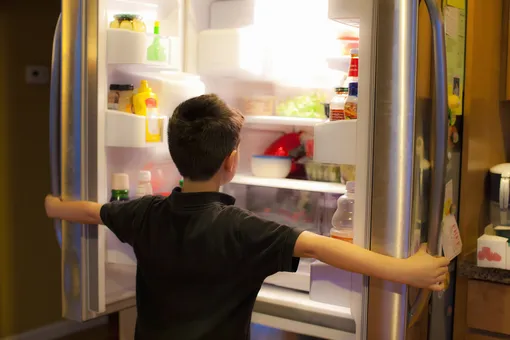 Для исправной работы холодильника нужен небольшой наклон назад.