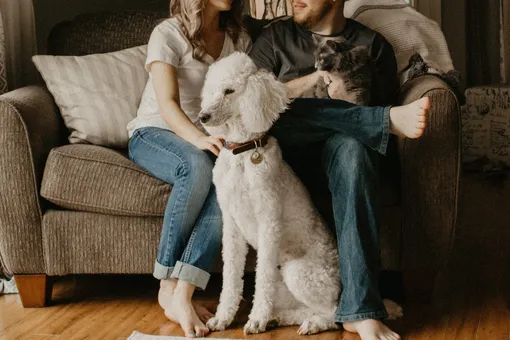 Мужчина и женщина сидят на диване с собакой и кошкой