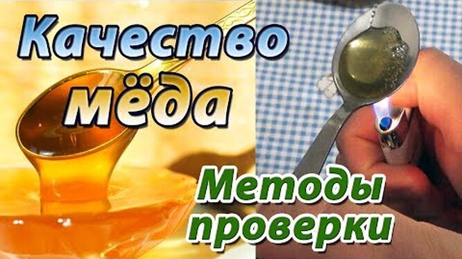 Как проверить качество меда в домашних условиях