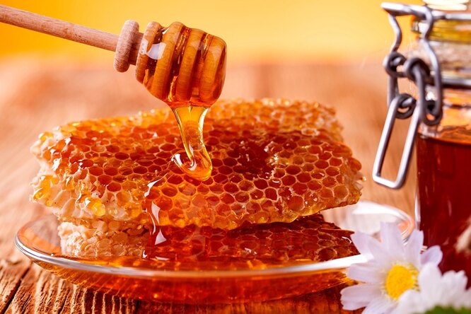 Пчеловод рассказал, как отличить натуральный мед от фальшивки