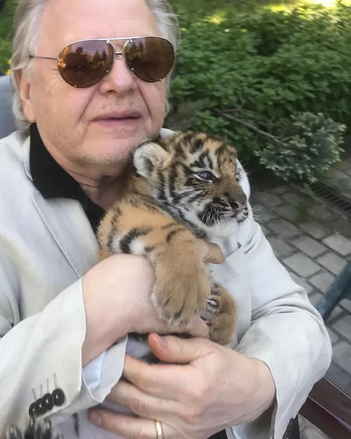 Юрий Антонов с тигренком