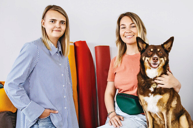 Женский бизнес на женской дружбе: как заработать на лежанках для собак