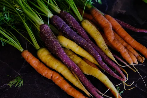 Экзотика на грядке: в чём отличие чёрной и фиолетовой моркови от обычной?