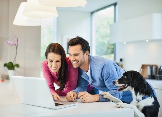 5 причин, почему стоит заводить собаку. Создание семьи, охрана, компания и многое другое