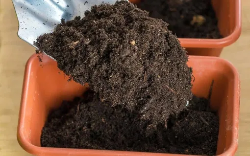 Качество грунта и его состав для выращивания рассады капусты