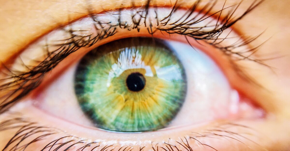 Приятные цвета для глаз. Жёлто-зелёный цвет глаз. Изумрудно зеленый цвет глаз. Яркие зеленые глаза. Желто зеленые глаза.