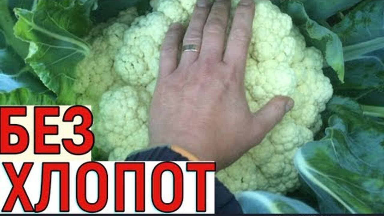 Klikněte a uvidíte