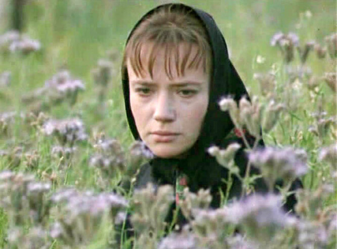 Доверие (1972)