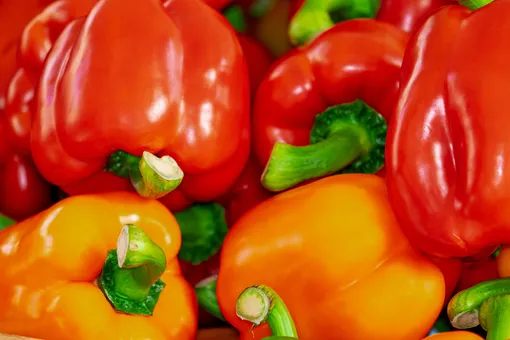 4 суперподкормки для перца во время плодоношения: это знают только продвинутые огородники
