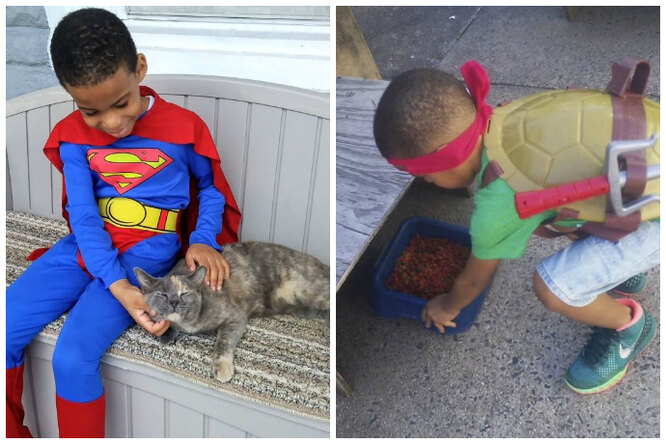 Это Кэтмэн! 5-летний мальчик спасает кошек в костюмах супергероев
