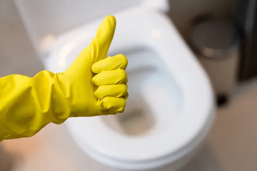 Чем опасны скорлупа и картофельные очистки: 8 кухонных отходов, которые никогда нельзя смывать в канализацию