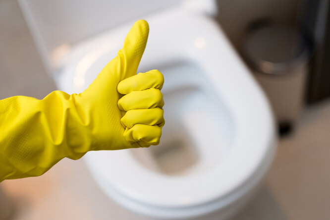 Чем опасны скорлупа и картофельные очистки: 8 кухонных отходов, которые никогда нельзя смывать в канализацию