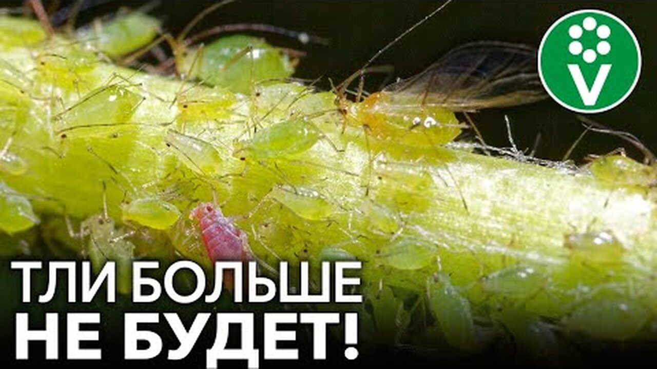 Klikněte a uvidíte