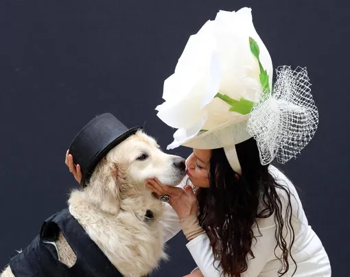 элизабет хоус, свадьба с собакой