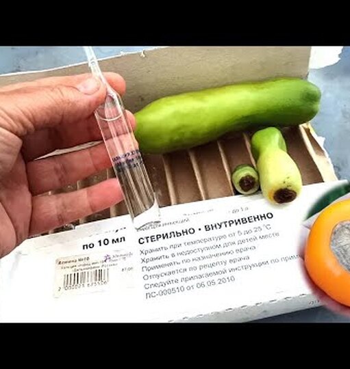 Кальций для томатов схема подкормок от вершинной гнили