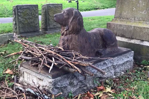 Горожане приносят палки на 100-летнюю могилу собаки. Зачем они это делают?