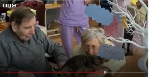 котенок в доме престарелых