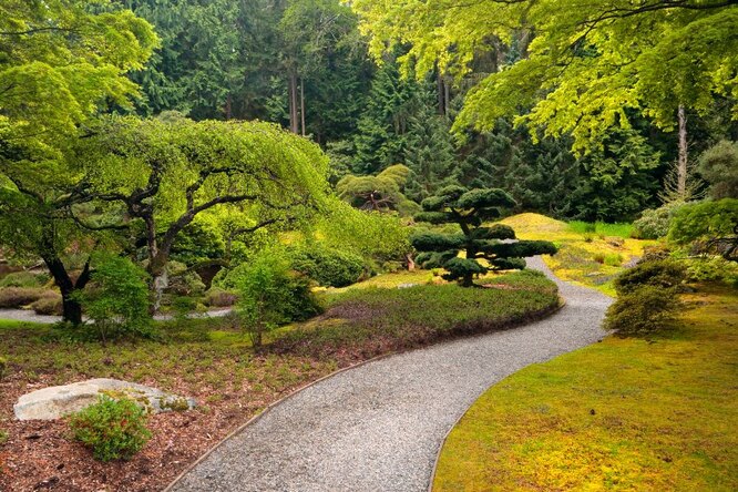 Извилистая дорожка в японском саду