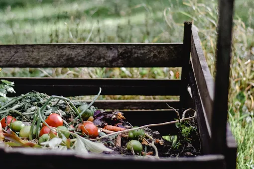 Как подготовить компостную кучу к зиме: 7 важных советов, чтобы не испортить удобрение