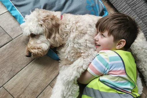 Мальчик с аутизмом боялся стоматолога, пока ему не помогла собака