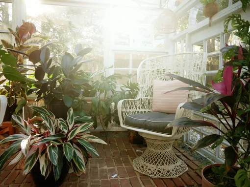 стеллаж для комнатных растений с подсветкой