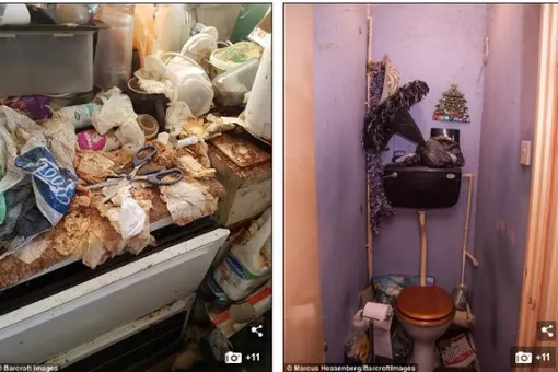 Она четыре года не выбрасывала мусор после смерти своей кошки, и вот до чего дошло