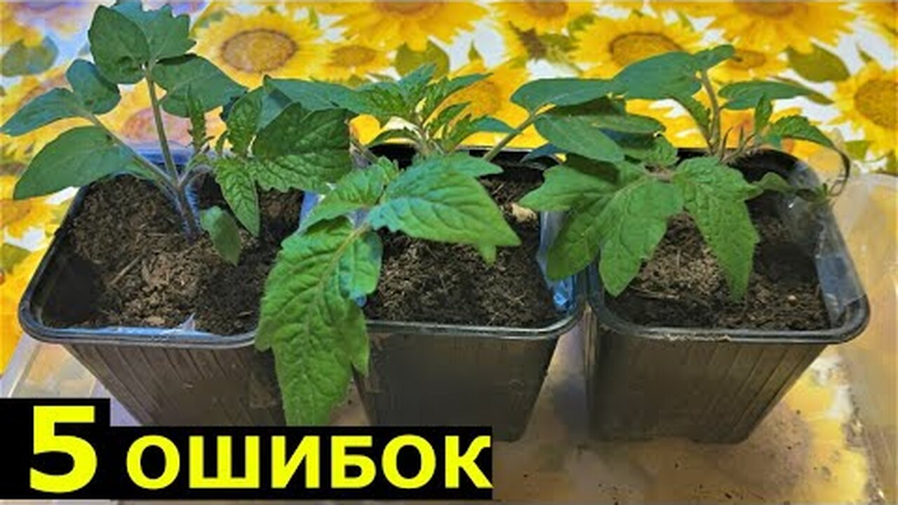 Klikněte a uvidíte