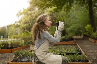 Используйте тачку и длинные ручки: как сберечь ноги при работе на огороде