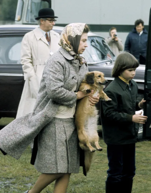 Королева Елизавета и её собака
