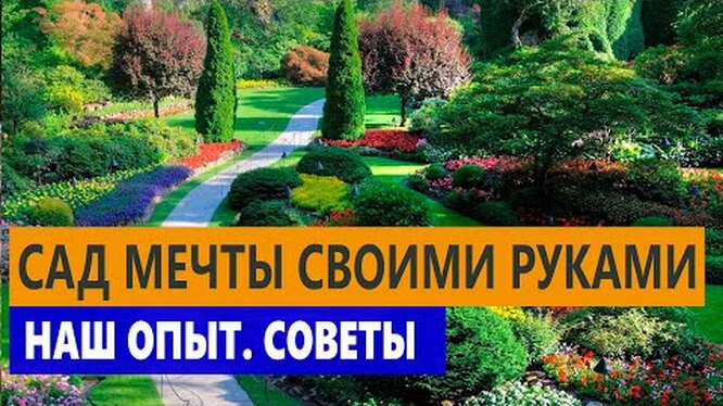 Нажми и смотри