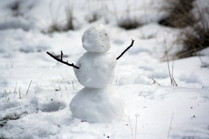Россияне делятся в соцсетях фотографиями первого снега