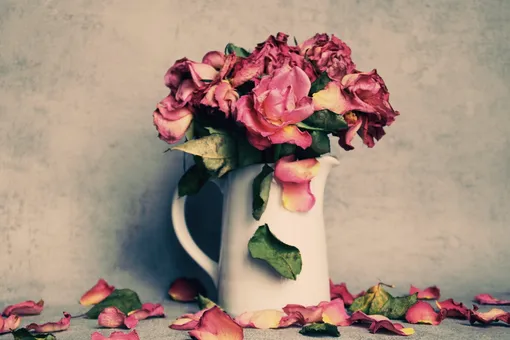 розы, букет из роз, увядающие розы, керамическая ваза, ваза с цветами, букет, букет из роз, букет в вазе