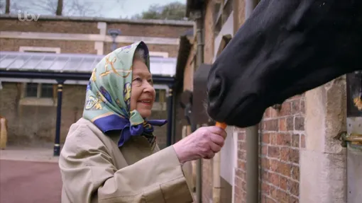 Королева кормит лошадь