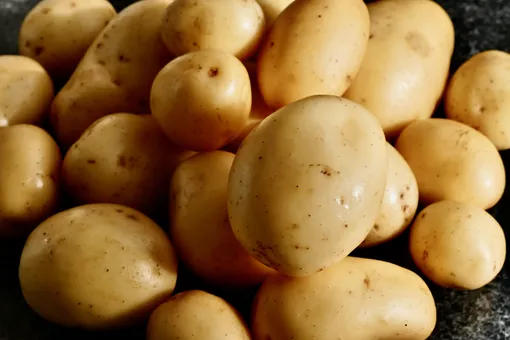 Самый популярный сорт картофеля в России