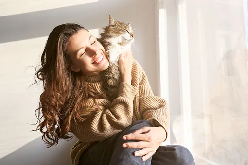 «Человек мой дорогой»: как кошки выбирают себе хозяина