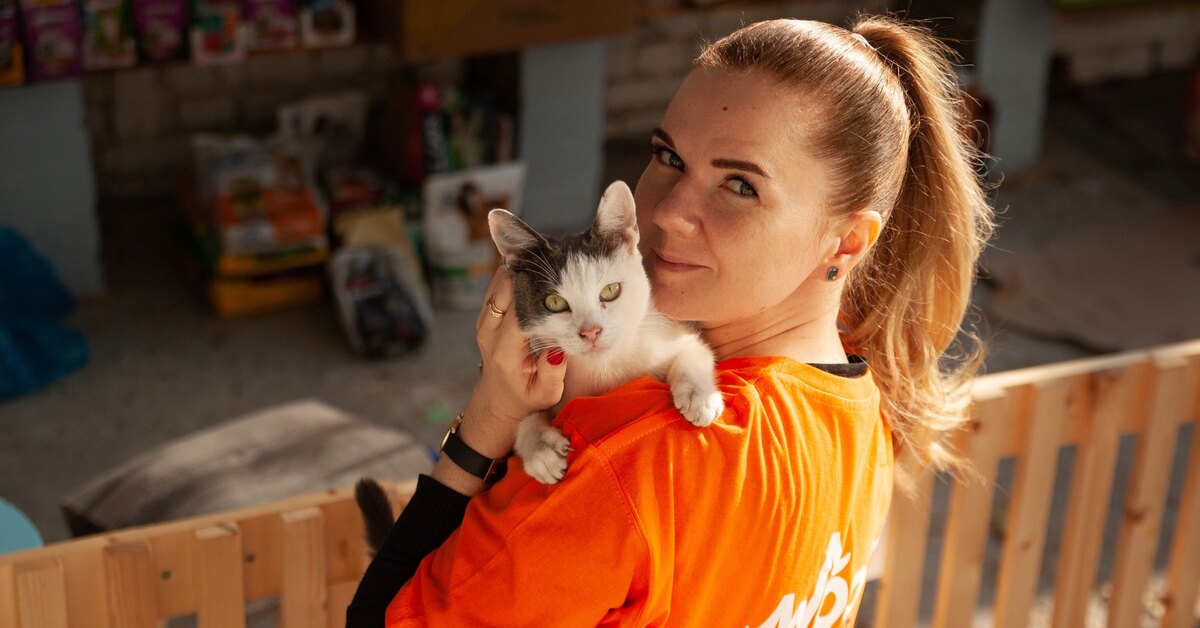 Где взять собаку, где взять кошку: выставка домашних животных в Москве