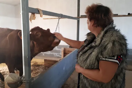 Лариса Молнар и корова, которую семейство завело в экопоселении