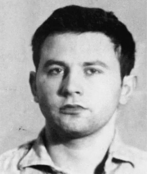 Владислав Файбишенко