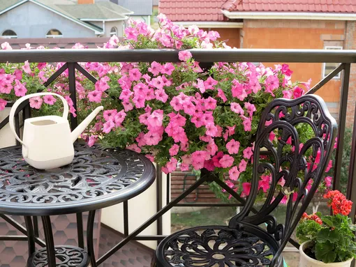 Розовая петуния на балконе
