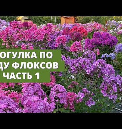 Нажми и смотри