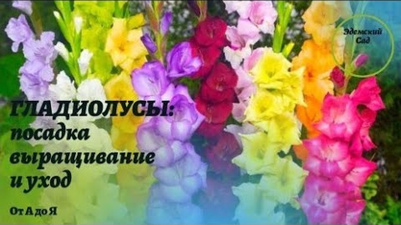 Klikněte a uvidíte