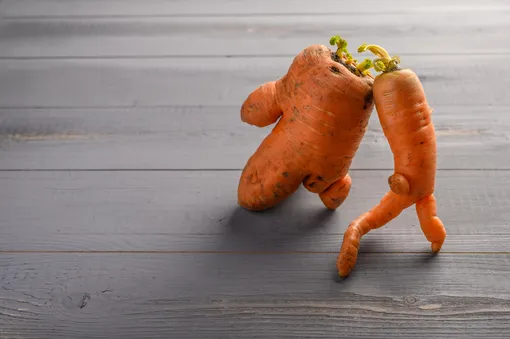 Морковь вырастает корявой, если были повреждены корешки.