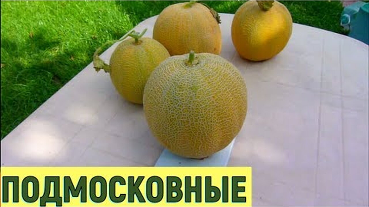 Klikněte a uvidíte