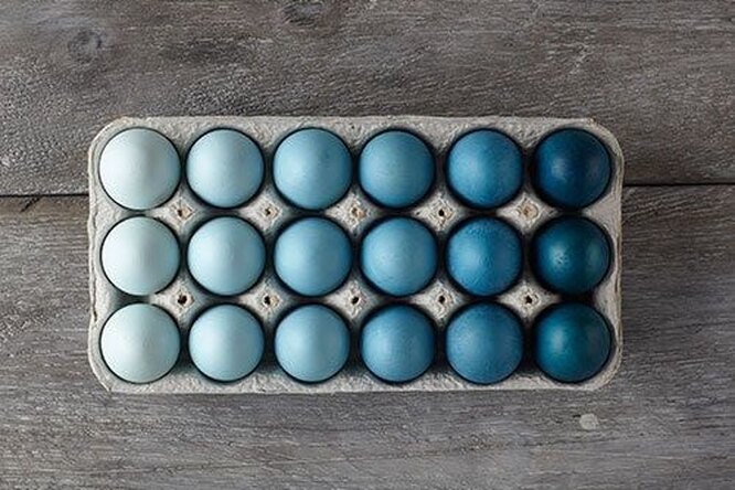 Подставки для яиц на Пасху: 8 идей