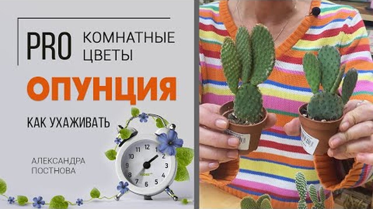 Klikněte a uvidíte