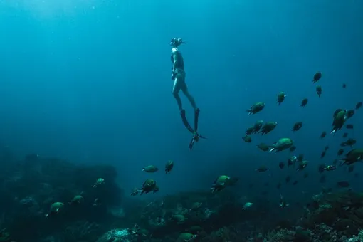 Смогут ли люди жить на дне океана? Отвечают учёные