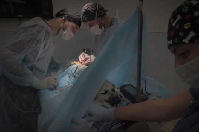 Анестезиолог постоянно следит за состоянием Лиды во время операции Фото: Юлия Скоробогатова для ТД