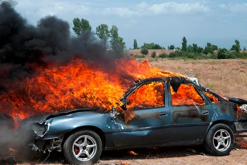 Бразилец поджег машину ради страховки и спалил 700 га леса. Теперь должен всей стране