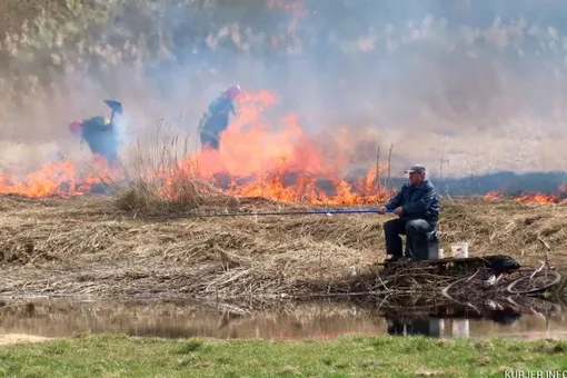 Видео рыбака, который не бросил рыбачить во время пожара, стало вирусным