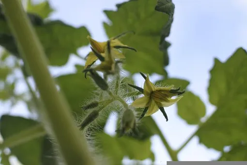 588d8bae1ac141d1f1378fb422343823_cropped_510x340 588d8bae1ac141d1f1378fb422343823_cropped_510x340